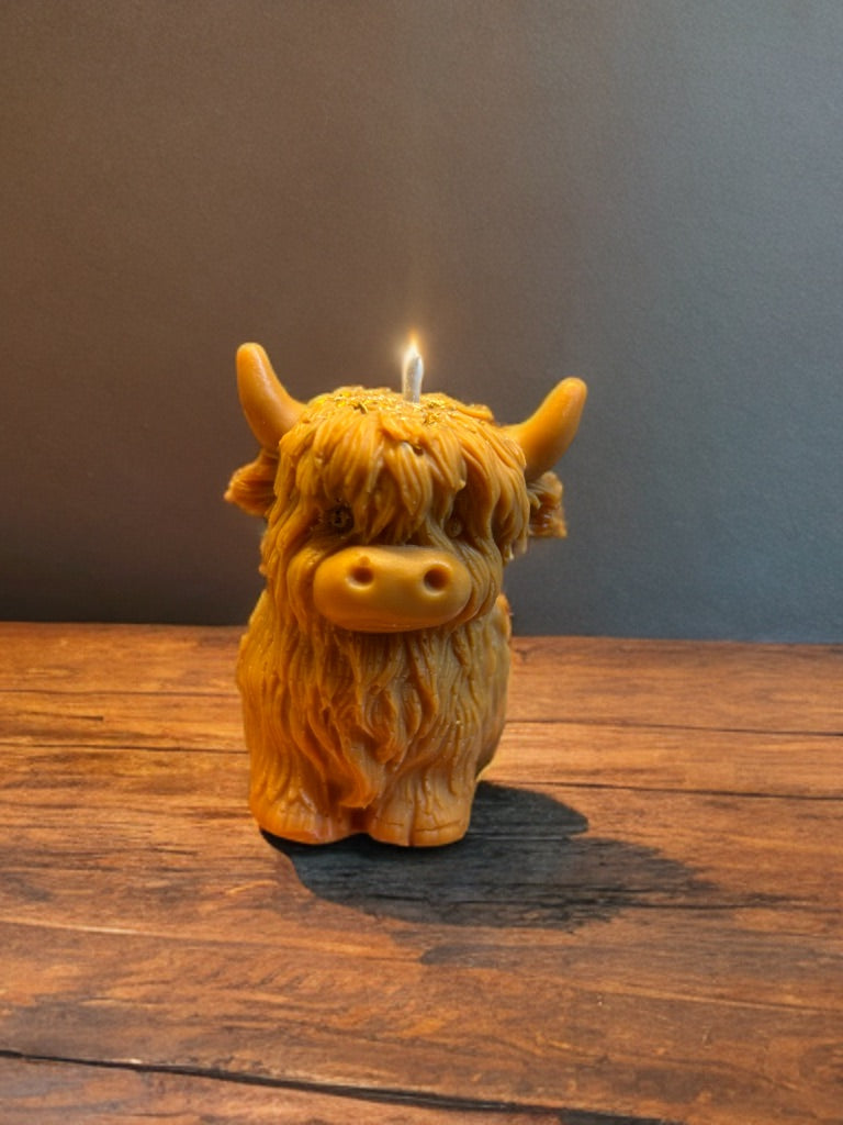 Bougie vache des Haghlands