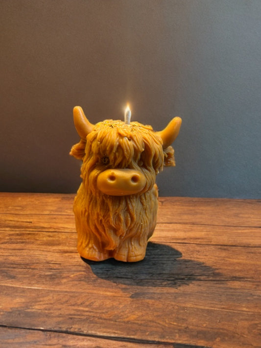 Bougie vache des Haghlands